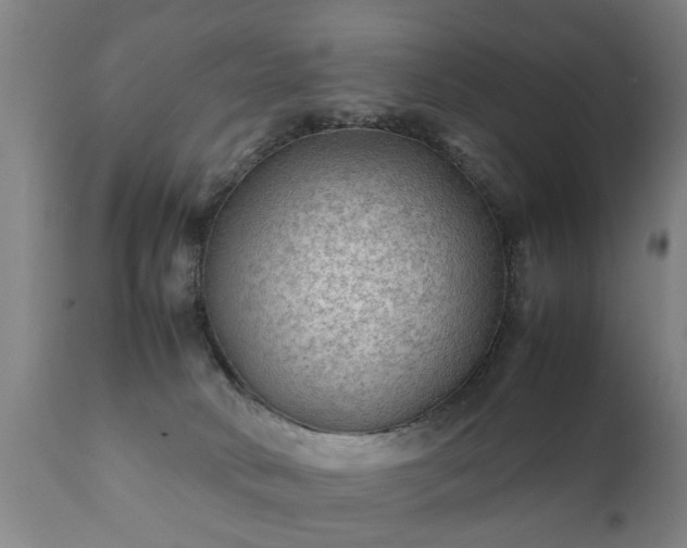 X0000112410034200908211133