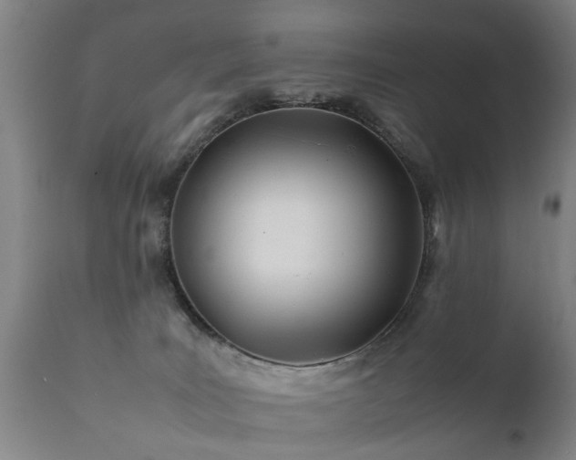 X0000112410035200908211133