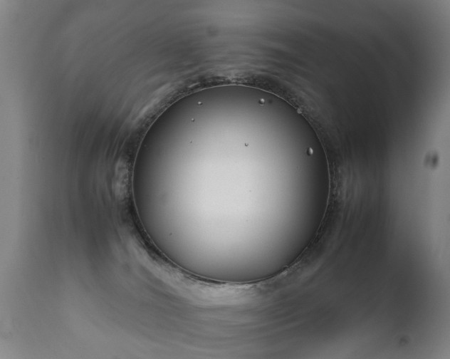 X0000112410036200908211133