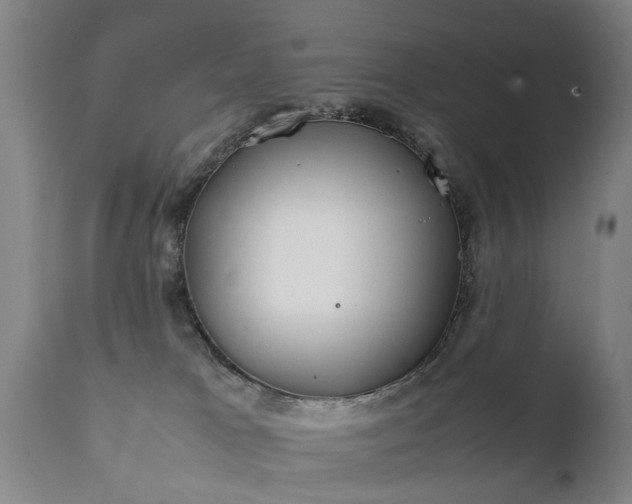 X0000112410037200908211133