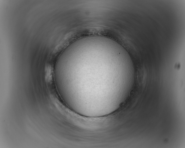 X0000112410038200908211132