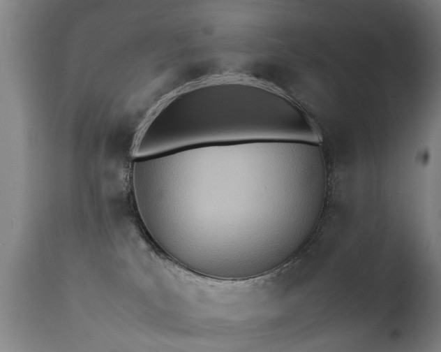X0000112410039200908211132