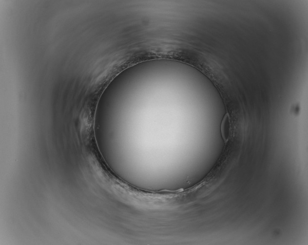 X0000112410040200908211132