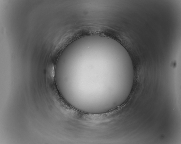X0000112410041200908211132