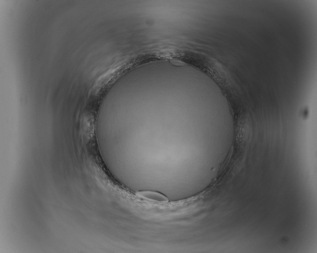 X0000112410043200908211132