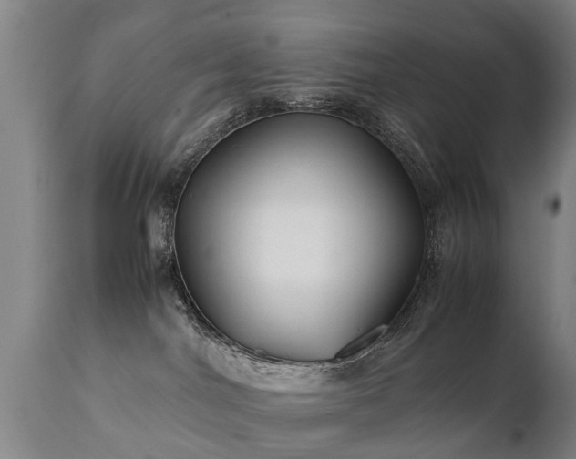 X0000112410044200908211132
