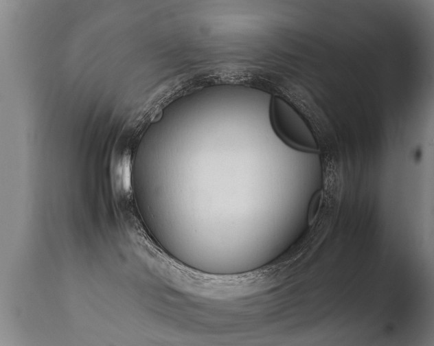 X0000112410046200908211132