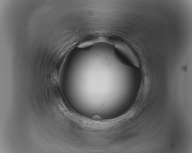 X0000112410048200908211132