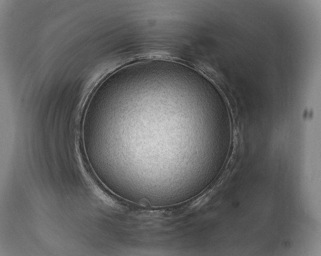 X0000112410049200908211132