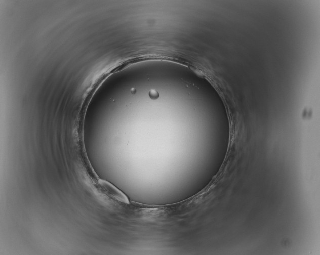 X0000112410050200908211132