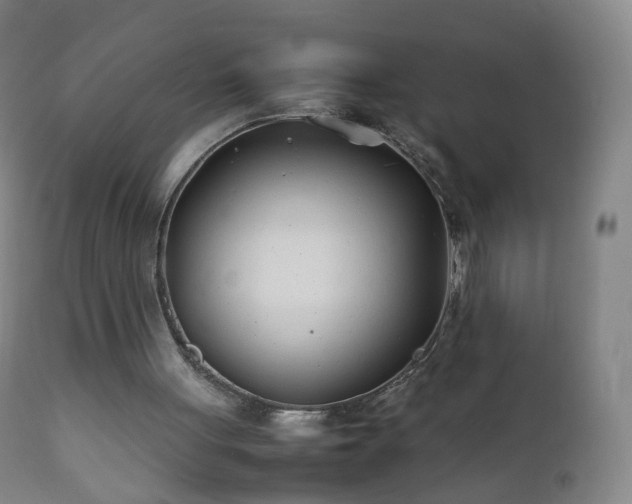 X0000112410051200908211132