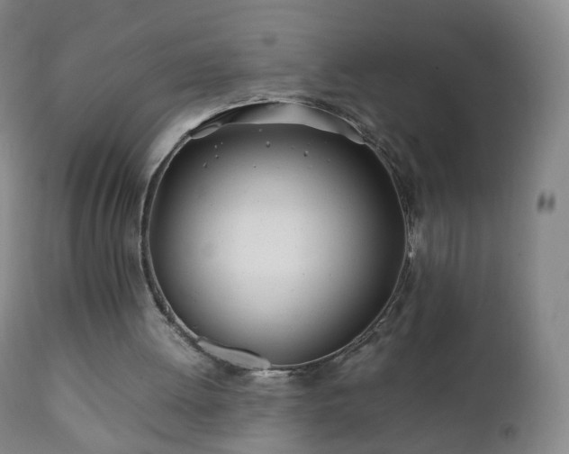 X0000112410052200908211132