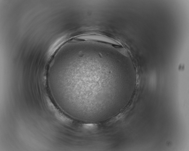 X0000112410053200908211132