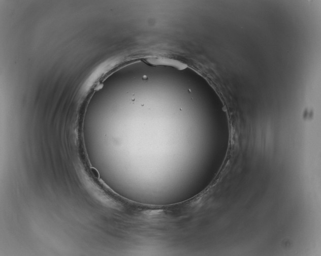 X0000112410054200908211132