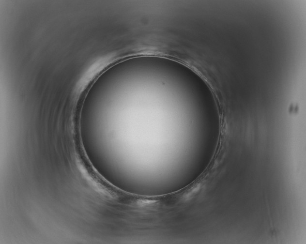 X0000112410055200908211132