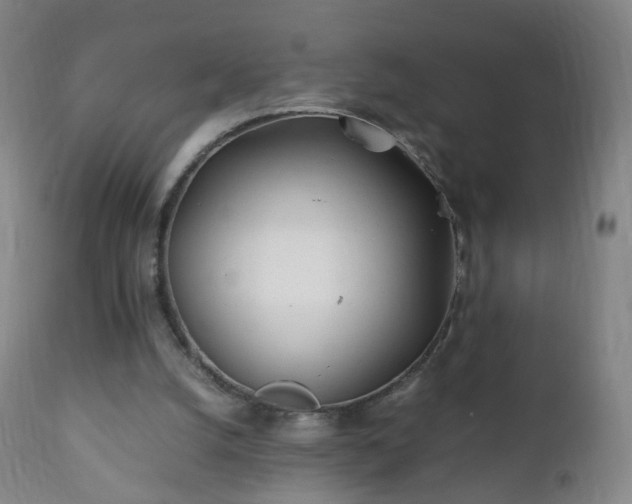 X0000112410056200908211132