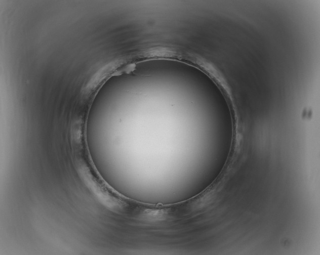 X0000112410057200908211132