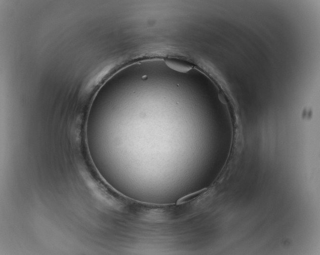 X0000112410058200908211132