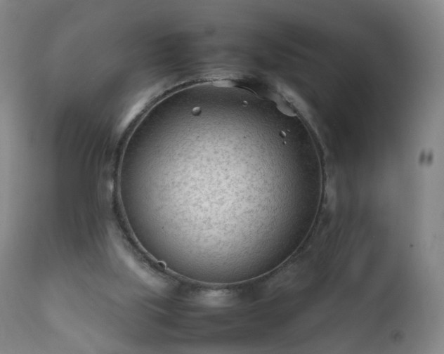 X0000112410059200908211132