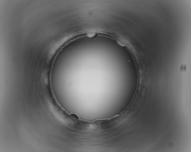 X0000112410060200908211132