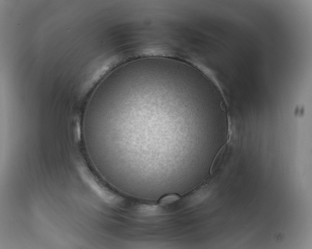 X0000112410061200908211132