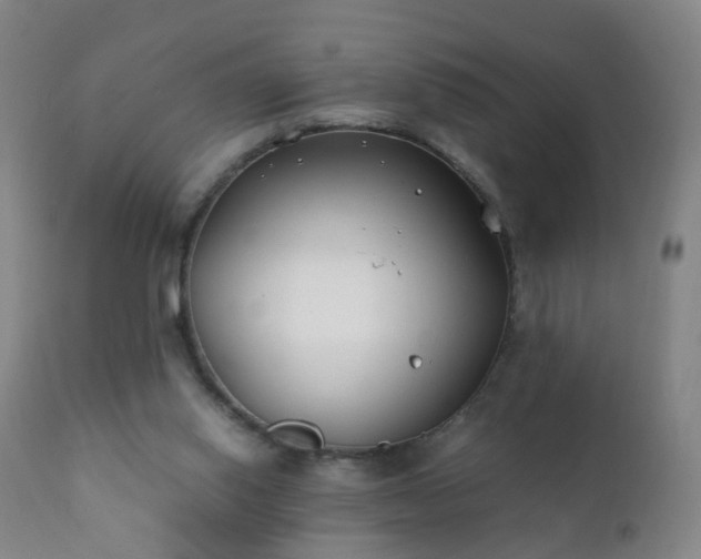 X0000112410062200908211132