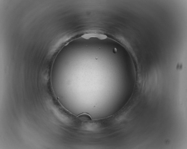 X0000112410063200908211132
