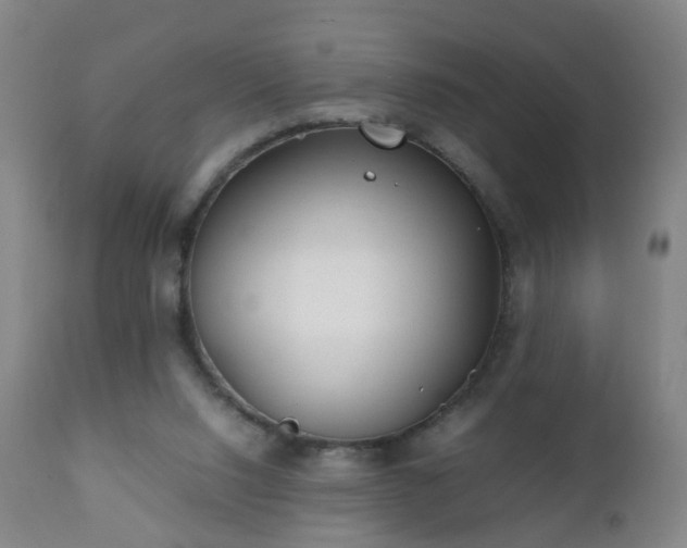 X0000112410064200908211132