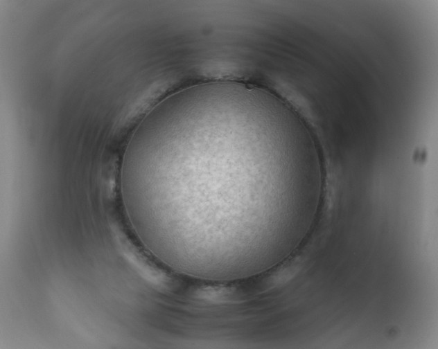 X0000112410065200908211132