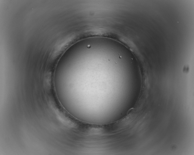 X0000112410066200908211132