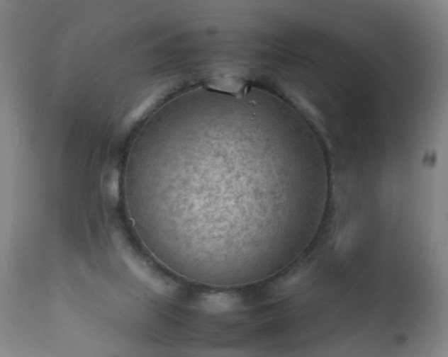 X0000112410067200908211132