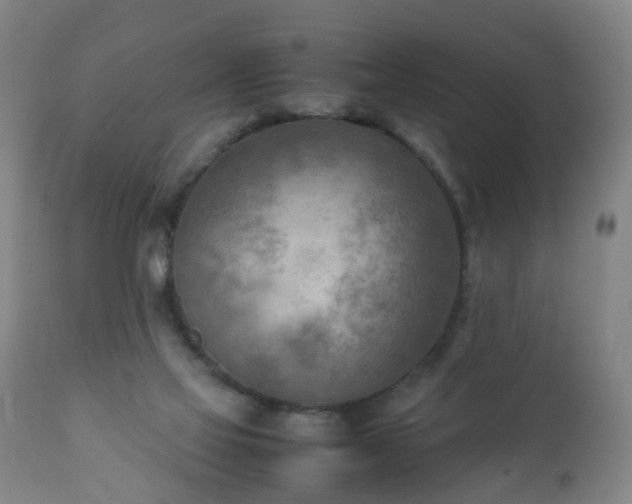 X0000112410069200908211132