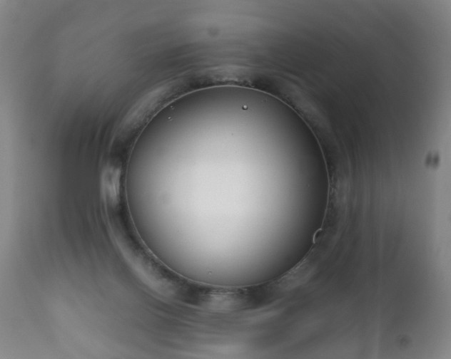 X0000112410070200908211132