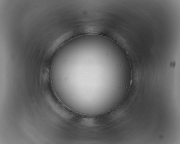 X0000112410071200908211132