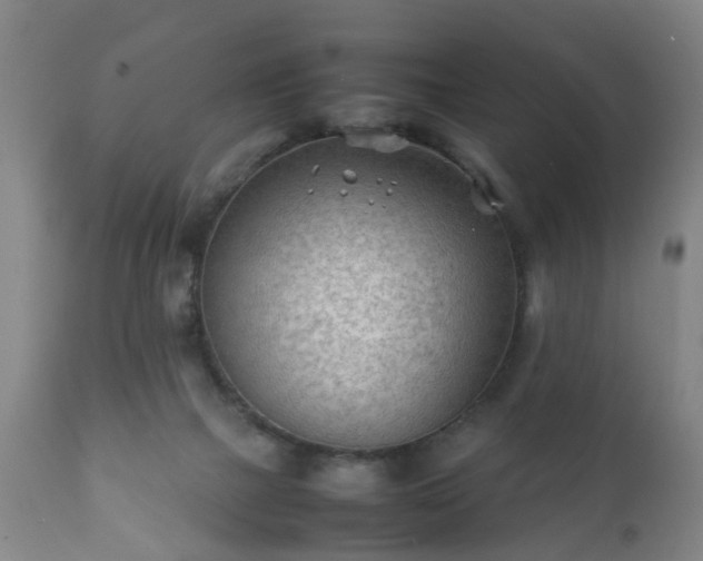 X0000112410073200908211132