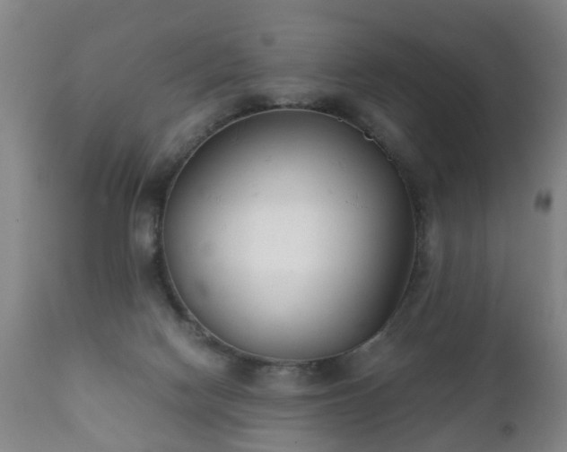 X0000112410074200908211132