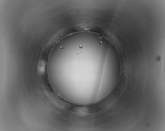 X0000112410075200908211132