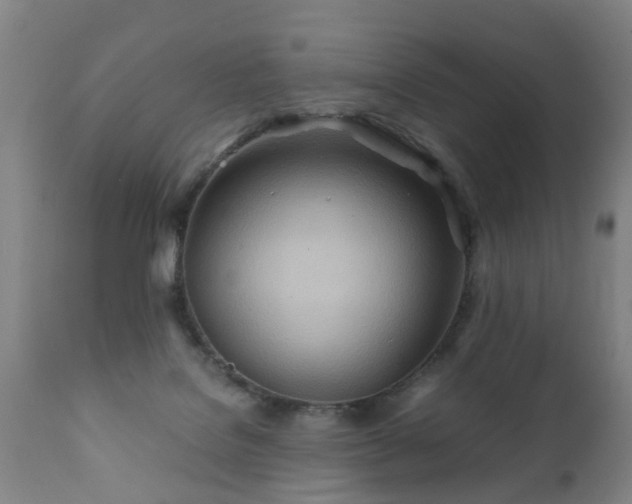 X0000112410076200908211132