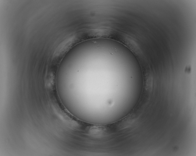 X0000112410077200908211132