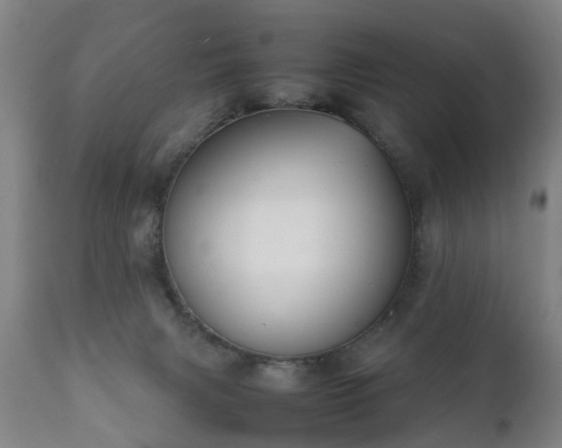 X0000112410079200908211132