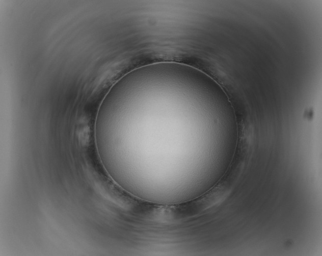 X0000112410080200908211132