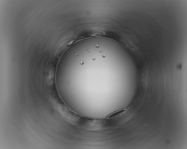 X0000112410082200908211132