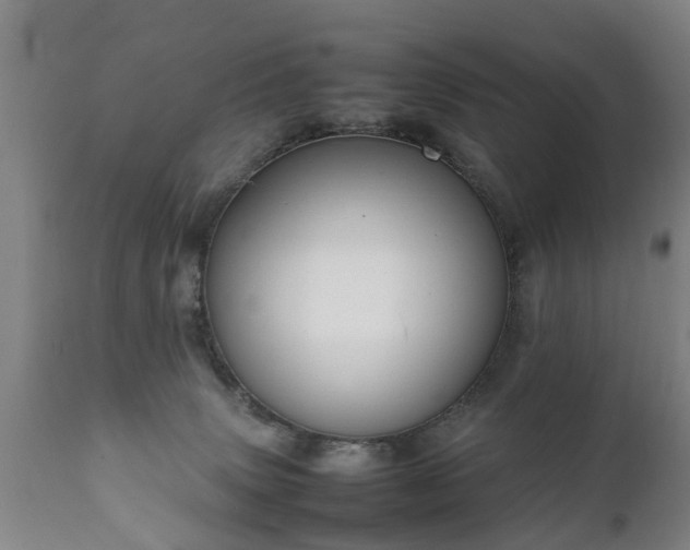 X0000112410083200908211132