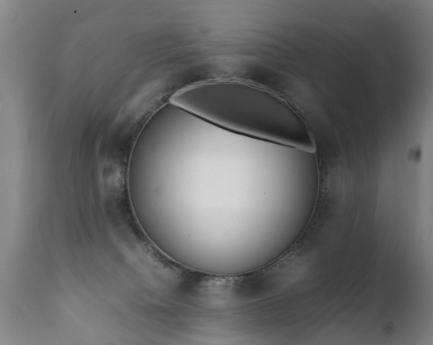 X0000112410084200908211132