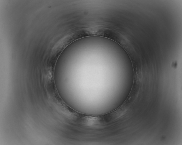X0000112410085200908211132