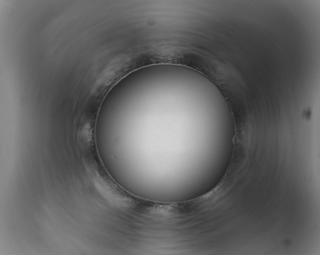 X0000112410086200908211132