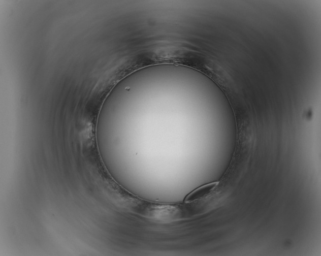 X0000112410087200908211132