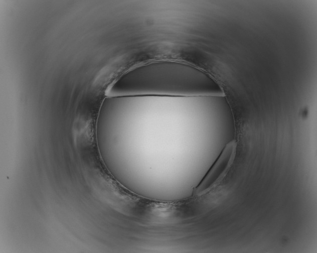 X0000112410088200908211132