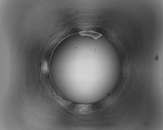 X0000112410089200908211132