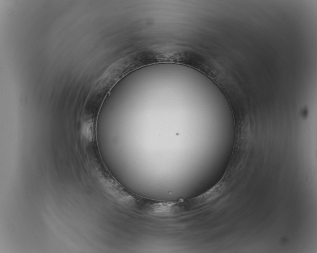 X0000112410090200908211132
